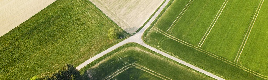 aerial view of a cross path in the middle of a green field lease ends without a formal contract