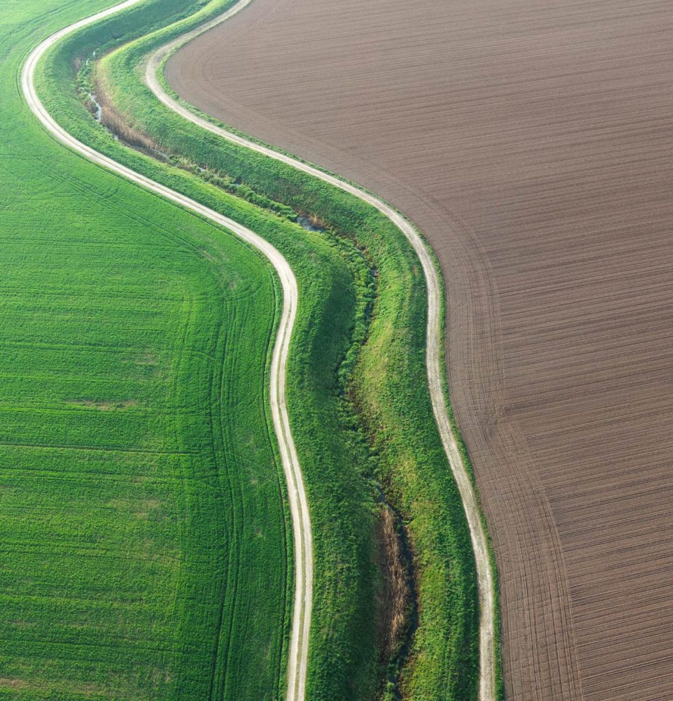 aerial perspective of a curving road traversing a vibrant field