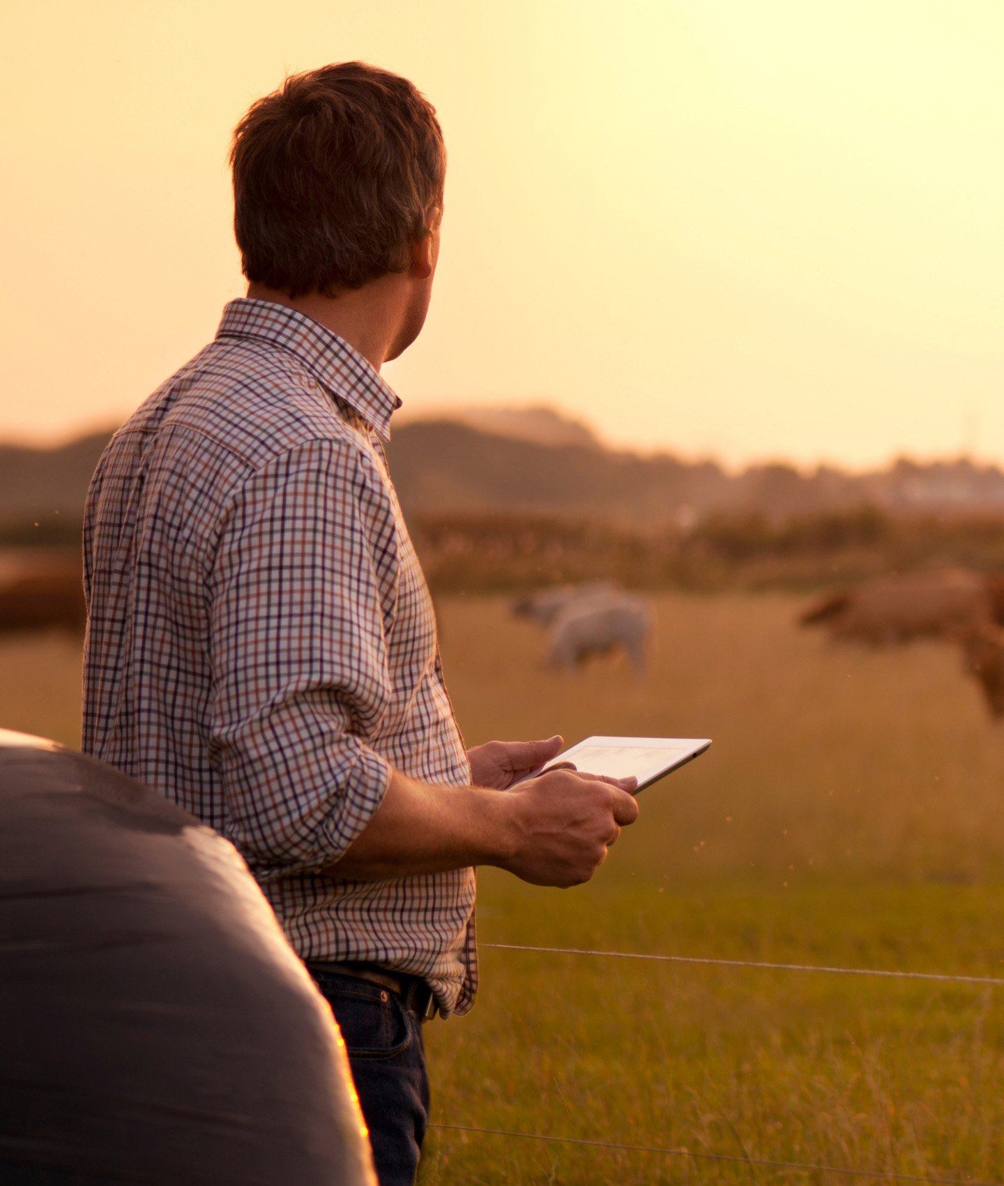 landowner looking at a perspective solar farm site