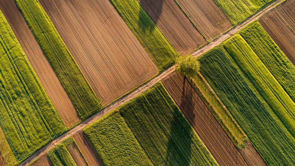 aerial view of green fields