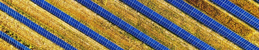 aerial view of solar panels in the middle of bright yellow grass field