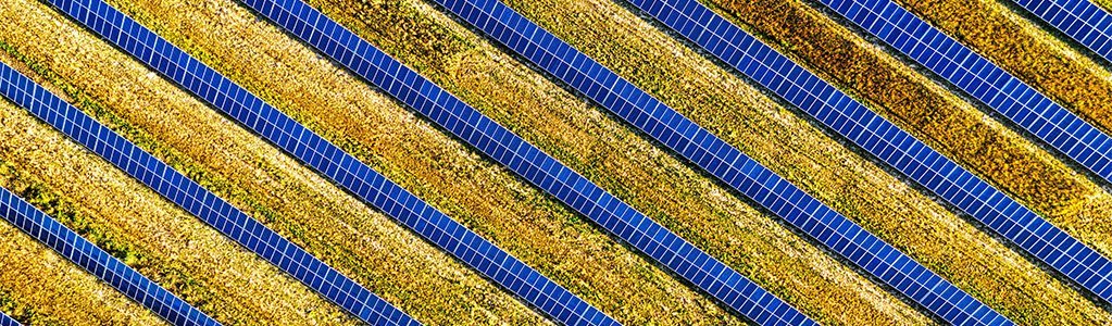 aerial view of diagonal rows of solar panels on a yellow grass field