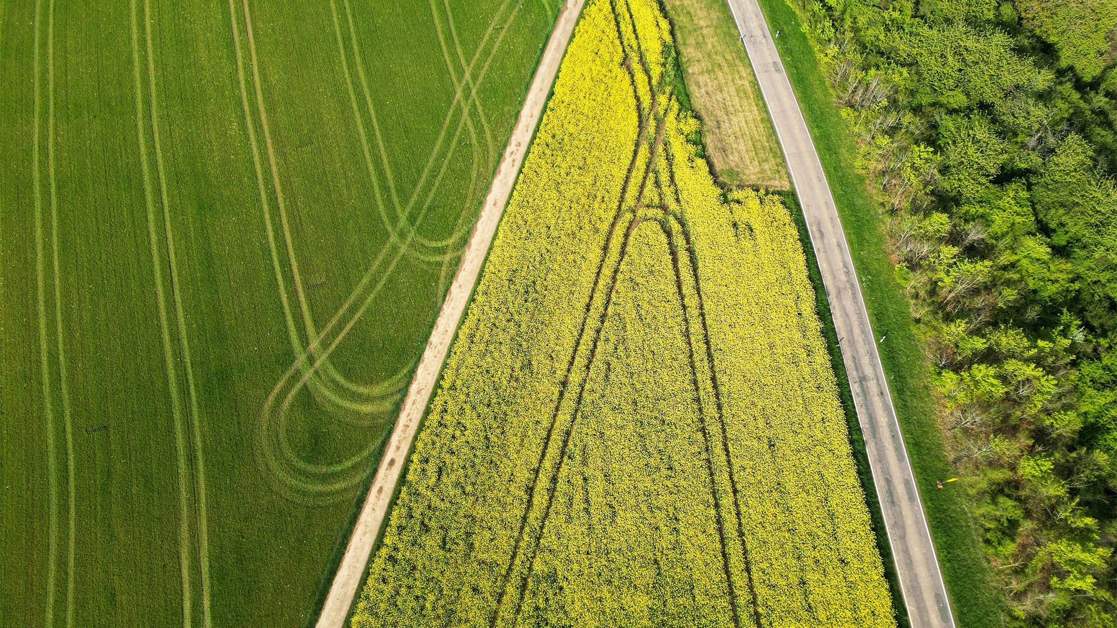 aerial view of green fields and farm roads