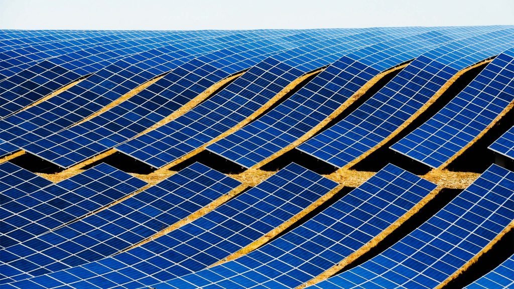 rows of solar panels placed on a curved hill