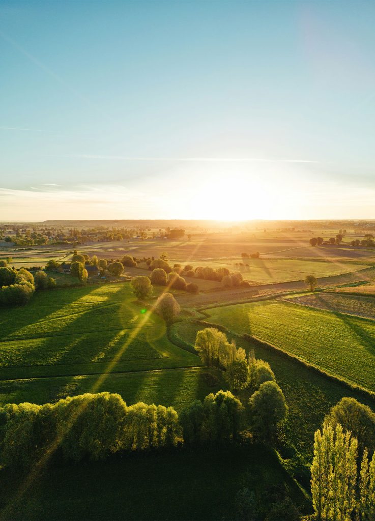 aerial view of landscape with green trees and grass fields during sunset