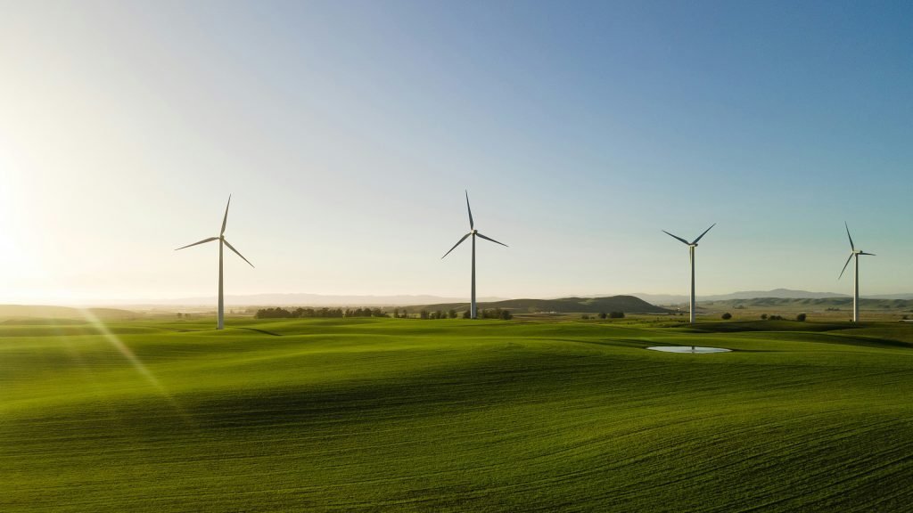 Green field and several wind turbines in the background