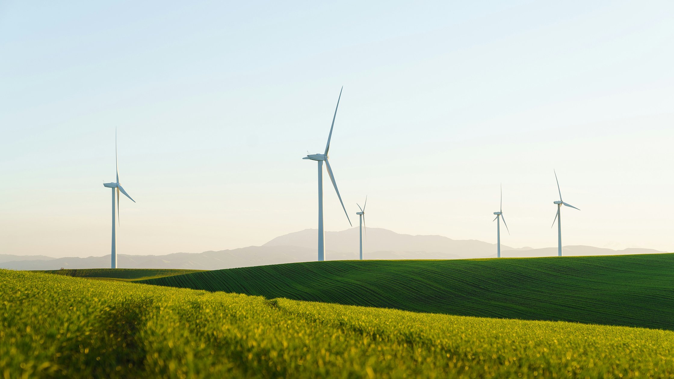 Side view of green field with wind farm in the background during sunrise