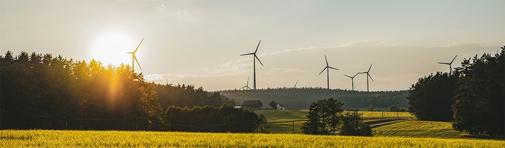 a view of yellow grass field and wind farm behind the trees in the distance