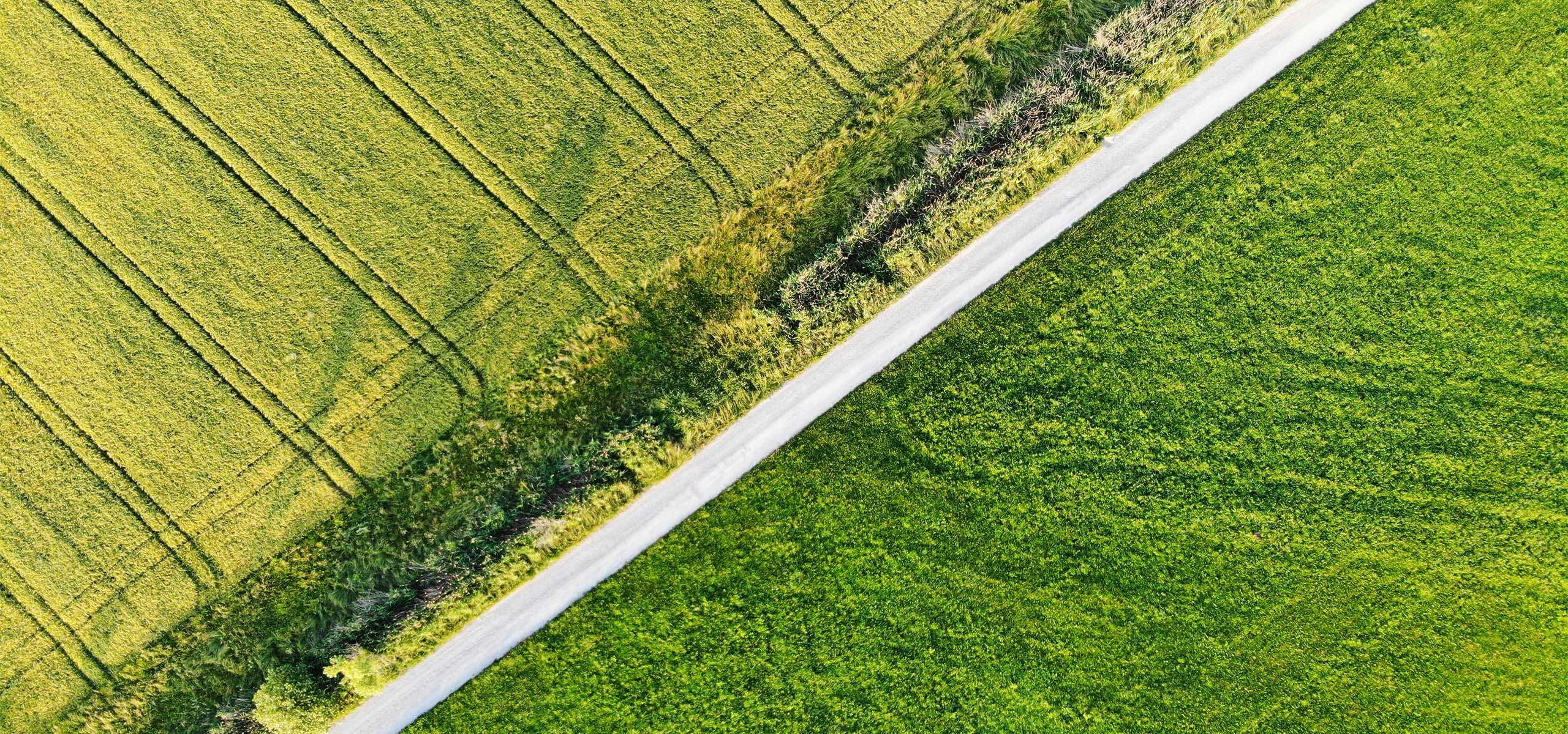 Aerial view of a narrow road separating two green fields