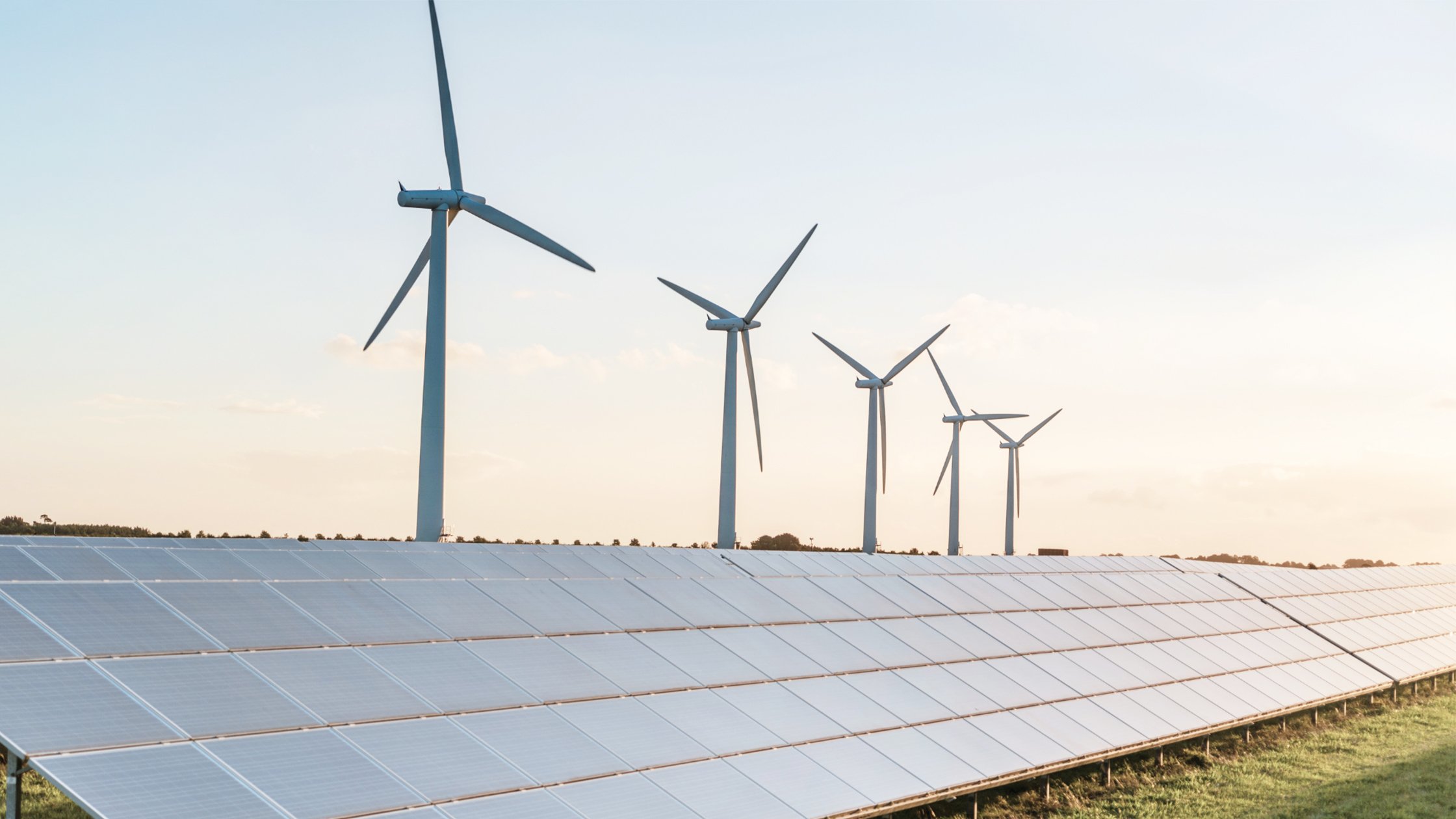 Sive view of solar panels in the foreground with several large wind turbines standing tall against a pastel sunset sky